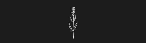 Lavender Single brush stroke preview from Flower Stamps Vol.1 for Procreate