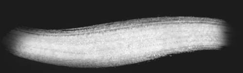Grain Texture brush stroke preview from Artistic Touch for Procreate