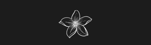 Star Jasmine brush stroke preview from Flower Stamps Vol.1 for Procreate