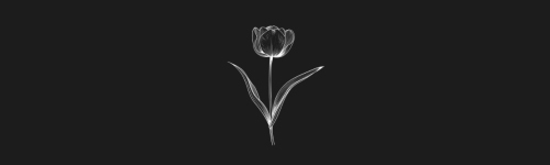 Tulip brush stroke preview from Flower Stamps Vol.1 for Procreate