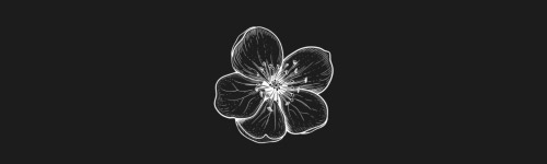 Apple Blossom brush stroke preview from Flower Stamps Vol.2 for Procreate