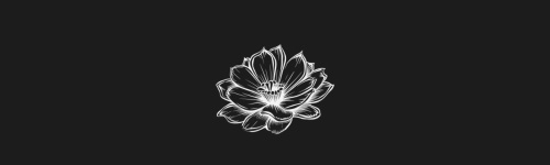 Cactus Flower brush stroke preview from Flower Stamps Vol.2 for Procreate