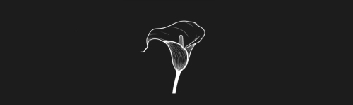 Calla Lily brush stroke preview from Flower Stamps Vol.2 for Procreate