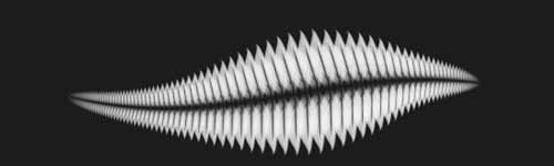 Blossom Curve brush stroke preview from Floral Dance for Procreate