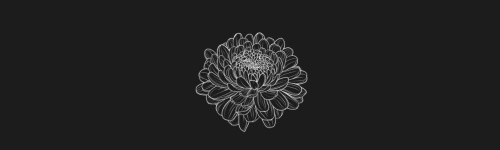 Chrisantemum brush stroke preview from Flower Stamps Vol.2 for Procreate