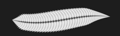 Frond Beam brush stroke preview from Floral Dance for Procreate