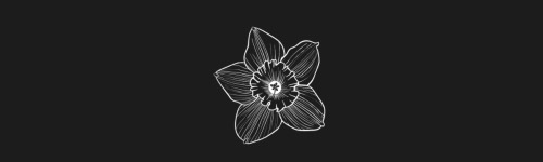 Daffodil brush stroke preview from Flower Stamps Vol.2 for Procreate