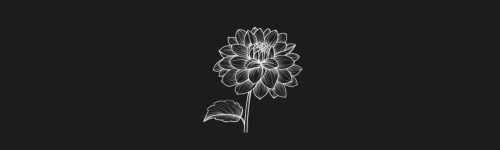 Dahila brush stroke preview from Flower Stamps Vol.2 for Procreate