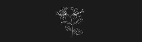Honeysuckle brush stroke preview from Flower Stamps Vol.2 for Procreate