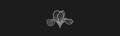 Iris brush stroke preview from Flower Stamps Vol.2 for Procreate