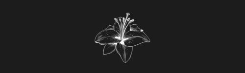 Lily brush stroke preview from Flower Stamps Vol.2 for Procreate
