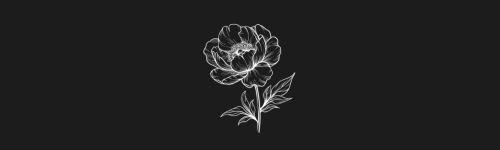 Peony brush stroke preview from Flower Stamps Vol.2 for Procreate