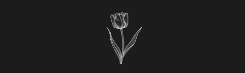 Tulip brush stroke preview from Flower Stamps Vol.2 for Procreate