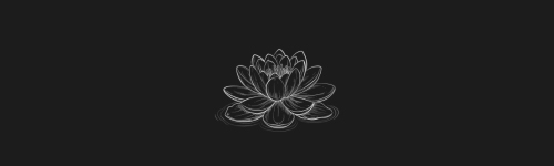 Water Lily brush stroke preview from Flower Stamps Vol.2 for Procreate