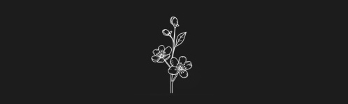Apple Blossom brush stroke preview from Flower Stamps Vol.3 for Procreate