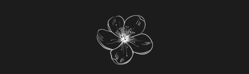 Cherry Blossom brush stroke preview from Flower Stamps Vol.3 for Procreate