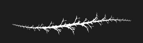 Root Snarl brush stroke preview from Mortal Thicket for Procreate