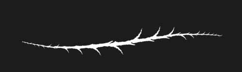 Branch Howl brush stroke preview from Mortal Thicket for Procreate
