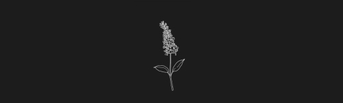 Lilac brush stroke preview from Flower Stamps Vol.3 for Procreate