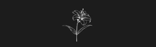Lily brush stroke preview from Flower Stamps Vol.3 for Procreate