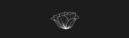 Lisianthus brush stroke preview from Flower Stamps Vol.3 for Procreate