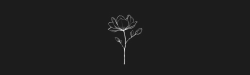 Magnolia brush stroke preview from Flower Stamps Vol.3 for Procreate