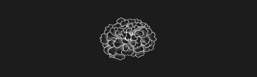 Marigold brush stroke preview from Flower Stamps Vol.3 for Procreate