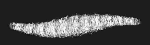 Drift Shell brush stroke preview from Spongy Veil for Procreate