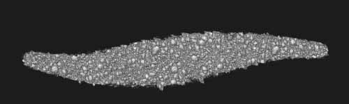 Grain Nest brush stroke preview from Sponge Patterns for Procreate