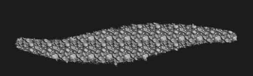 Knot Web brush stroke preview from Sponge Patterns for Procreate