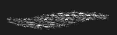 Puff Cluster brush stroke preview from Sponge Patterns for Procreate