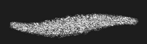 Shell Scatter brush stroke preview from Sponge Patterns for Procreate