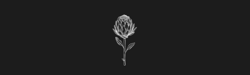 Proteas brush stroke preview from Flower Stamps Vol.3 for Procreate