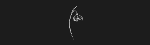 Snowdrop brush stroke preview from Flower Stamps Vol.3 for Procreate