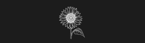 Sunflower brush stroke preview from Flower Stamps Vol.3 for Procreate