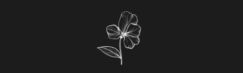 Sweet Pea brush stroke preview from Flower Stamps Vol.3 for Procreate