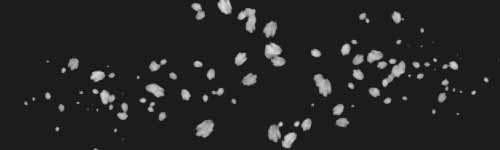 Glow Particles brush stroke preview from Glam Touch for Procreate