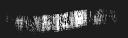 Timber Skin brush stroke preview from Easy Campfire for Procreate