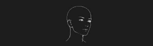 Turn Left brush stroke preview from Female Head Base for Procreate