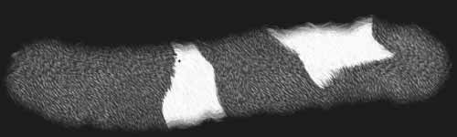 Short Spots 1 brush stroke preview from Fur Brushes for Procreate