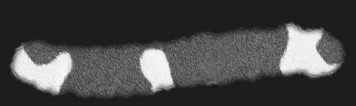 Short Spots 2 brush stroke preview from Fur Brushes for Procreate