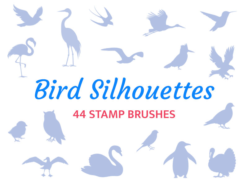 Bird Silhouettes Procreate brush pack preview