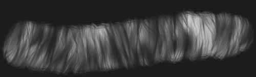 Long Fur 4 brush stroke preview from Fur Brushes for Procreate