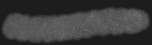 Short Fur 2 brush stroke preview from Fur Brushes for Procreate