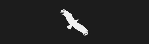 Eagle 3 brush stroke preview from Bird Silhouettes for Procreate