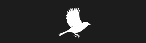 Sparrow 2 brush stroke preview from Bird Silhouettes for Procreate