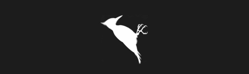 Woodpecker brush stroke preview from Bird Silhouettes for Procreate