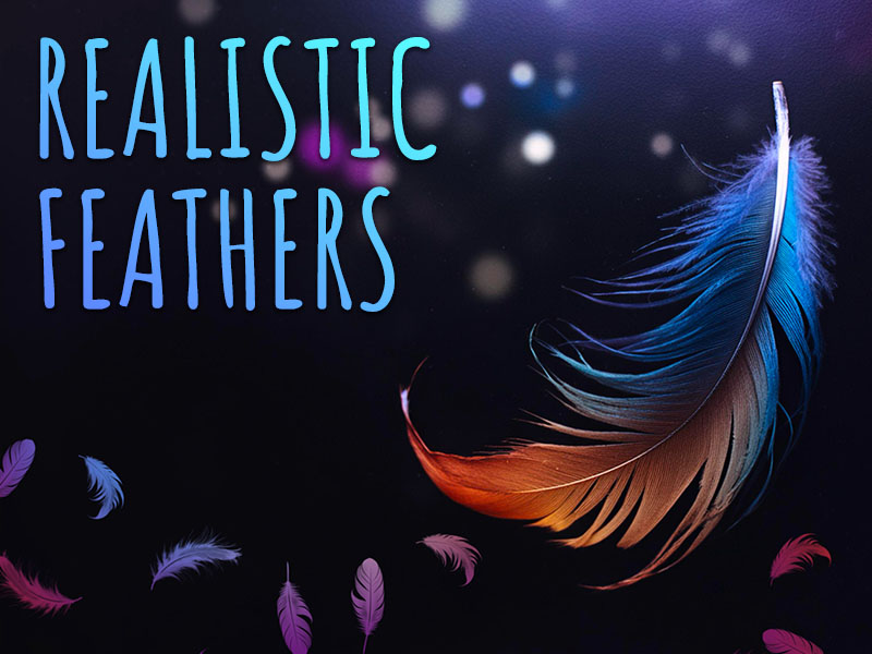 Realistic Feathers Procreate brush pack preview