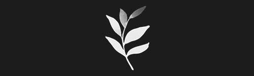 Twig brush stroke preview from Antique Symbols for Procreate