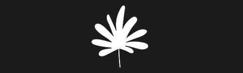 Organic 2 brush stroke preview from Boho Shapes for Procreate